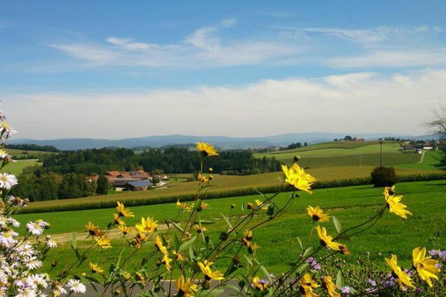 Ferienwohnung im bayerischen Wald Tittling Exterior foto